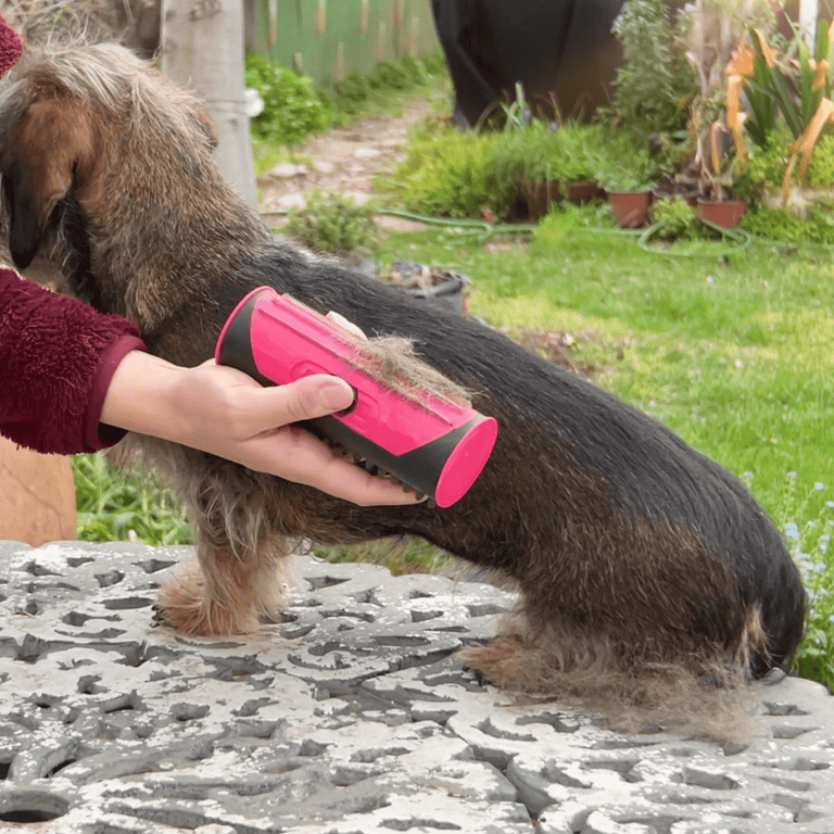 FurMaster™ 3-in-1 Fur Brush